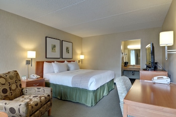 Single Room, 1 King Bed, Roll-In Shower