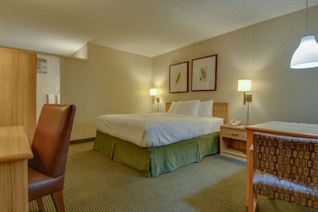 Single Room, 1 King Bed, Roll-In Shower