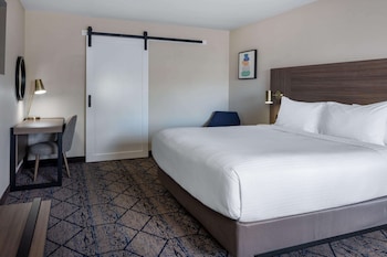 Room, 1 King Bed, Non Smoking