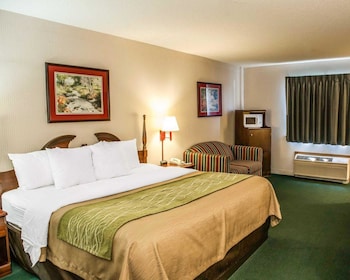 Suite, 1 King Bed with Sofa bed, Non Smoking, Jetted Tub (1 Person Sofa Bed)
