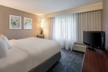 Suite, 1 King Bed with Sofa bed