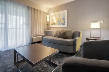 Suite, 1 King Bed with Sofa bed