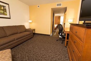 Suite, 1 King Bed with Sofa bed, Accessible (Sofa Sleeper, Tub, 2 Rooms)
