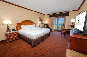 Basic Room, 1 King Bed