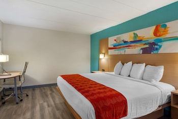Suite, 1 King Bed, Non Smoking, Refrigerator & Microwave (with Sofabed)