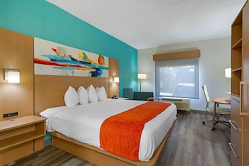 Standard Room, 1 King Bed, Non Smoking, Refrigerator & Microwave