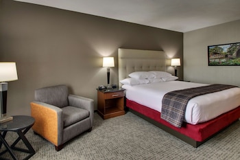 Room, 1 King Bed, Accessible (Tub)