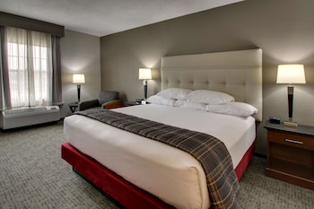 Room, 1 King Bed, Accessible (Tub)