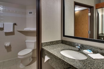 Room, 1 King Bed, Accessible (Tub)