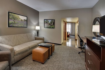 Suite, 1 King Bed with Sofa bed (Sofa Sleeper, 2 Rooms)