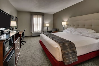 Room, 1 King Bed, Accessible (Tub)