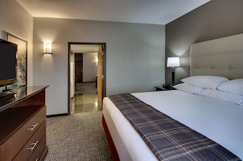 Suite, 1 King Bed with Sofa bed (Sofa Sleeper, 2 Rooms)