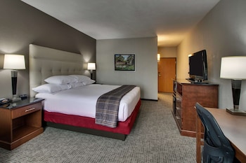 Room, 1 King Bed, Accessible (Tub)