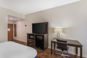Standard Room, 1 King Bed, Non Smoking, Refrigerator & Microwave