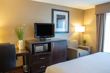 Room, 1 King Bed, Bathtub