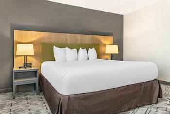 Room, 1 King Bed, Non Smoking