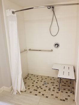 Room, Accessible (Roll-In Shower)