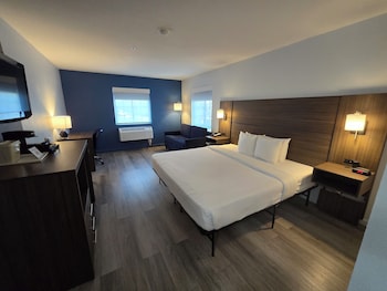Standard Room, 1 King Bed with Sofa bed