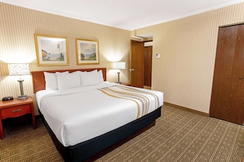 Suite, 1 Bedroom, Non Smoking
