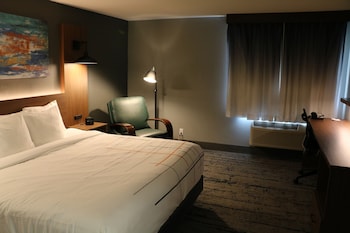 Room, 1 King Bed