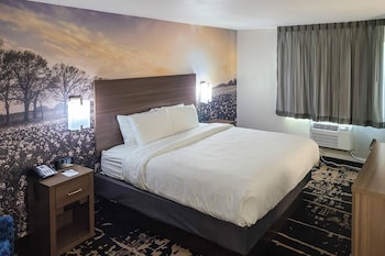 Room, 1 Queen Bed, Accessible, Non Smoking