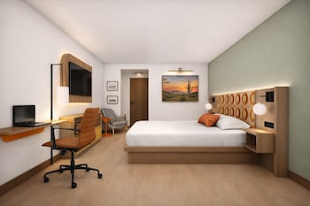 Room, 1 King Bed