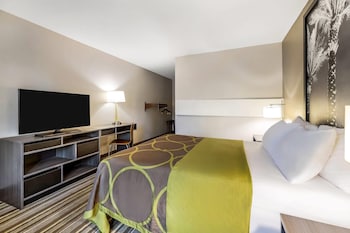 Room, 1 Queen Bed, Accessible, Non Smoking (Mobility/Hearing,roll-in shower)