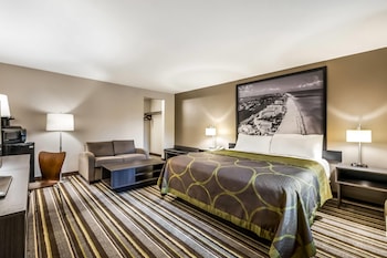 Studio Suite, 1 King Bed, Non Smoking (Mini Suite)