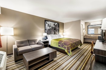 Room, 1 King Bed, Non Smoking