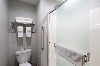 Room, Multiple Beds, Non Smoking