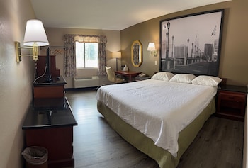 Room, 1 King Bed, Non Smoking