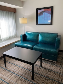 Suite, Multiple Beds, Non Smoking, Refrigerator & Microwave (with Sofabed)