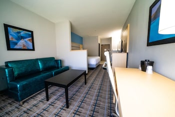 Standard Room, 1 King Bed, Non Smoking, Refrigerator & Microwave (Pet Friendly;with Sofabed)