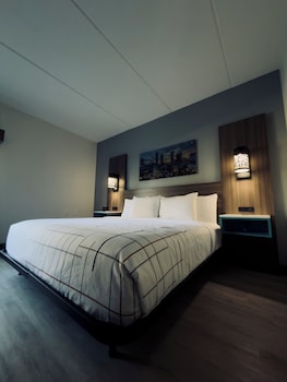 Room, 1 King Bed, Mobility Accessible, Non Smoking (Bathtub w/ Grab Bars)