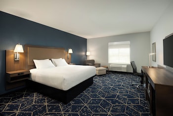 Room, 1 King Bed, Roll-in Shower