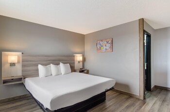 Standard Room, 1 King Bed, Non Smoking