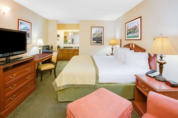 Room, 1 King Bed