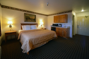 Executive Room, 1 King Bed, Refrigerator & Microwave