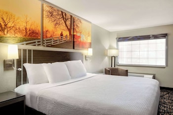Room, 1 King Bed, Accessible, Non Smoking (Roll-In Shower)