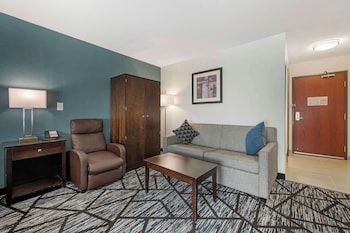 Standard Room, 1 King Bed, Accessible, Non Smoking (Walk-in Shower;with Sofabed)