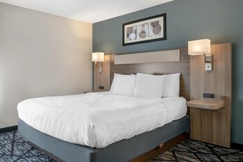 Standard Room, 1 King Bed, Non Smoking, Refrigerator & Microwave (with Sofabed)