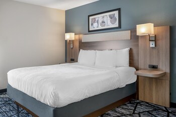 Standard Room, 1 King Bed, Accessible, Non Smoking (Walk-in Shower;with Sofabed)