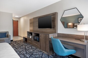 Standard Room, 1 King Bed, Accessible, Non Smoking (Walk-in Shower;with Sofabed)