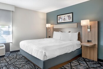 Standard Room, 1 King Bed, Accessible, Bathtub (with Sofabed)