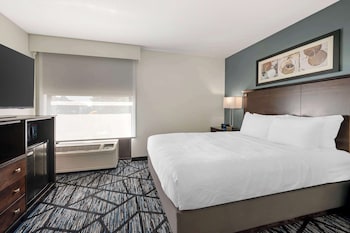 Suite, 1 Queen Bed, Non Smoking, Refrigerator & Microwave (with Sofabed)