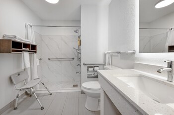 Standard Room, 1 King Bed, Accessible, Non Smoking (Walk-in Shower;with Sofabed)