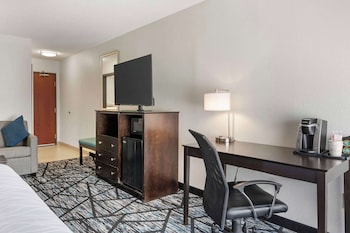 Standard Room, 1 King Bed, Non Smoking, Refrigerator & Microwave (with Sofabed)