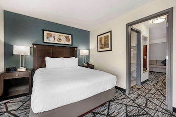 Suite, 1 Queen Bed, Non Smoking, Refrigerator & Microwave (with Sofabed)
