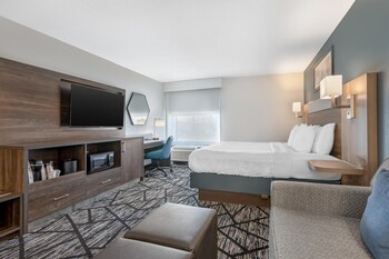 Standard Room, 1 King Bed, Non Smoking, Refrigerator & Microwave (with Sofabed)