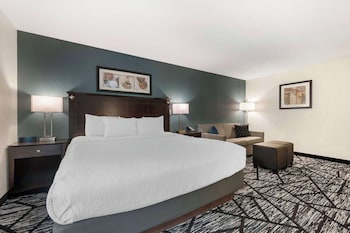 Standard Room, 1 King Bed, Non Smoking, Refrigerator & Microwave (with Sofabed)